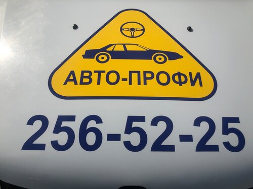 Авто-профи