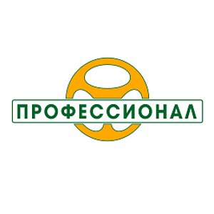 Профессионал