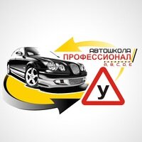 Автошкола Профессионал