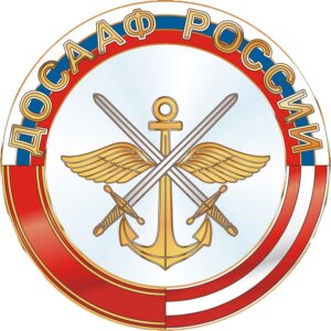 Видновская школа ДОСААФ России