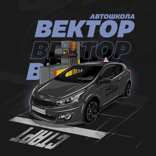 Вектор